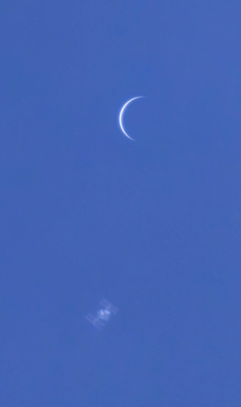 The ISS Meets Venus