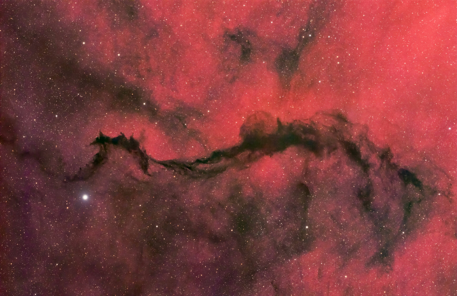A Dark Veil in Ophiuchus
