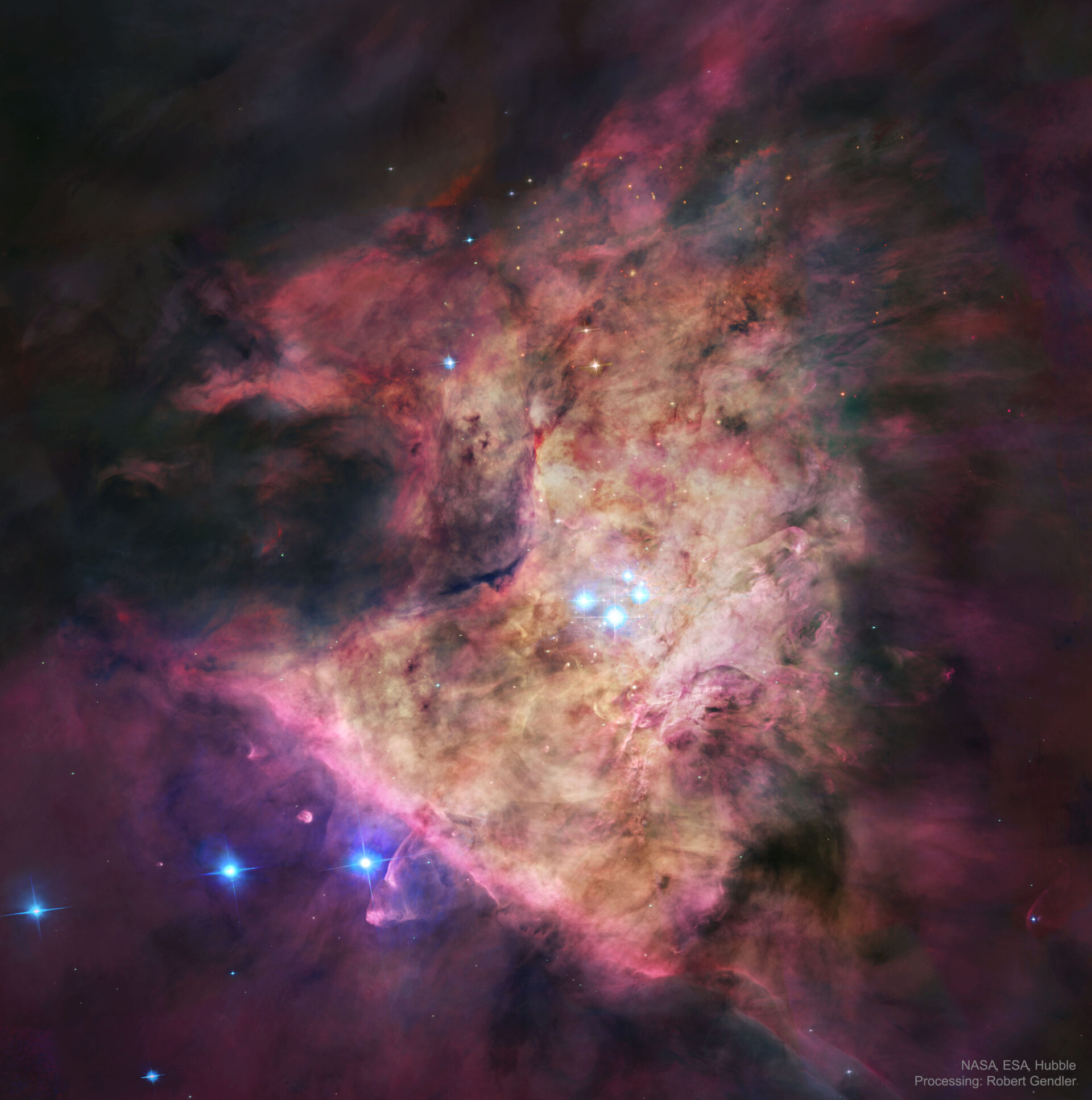 Trapezium: In the Heart of Orion