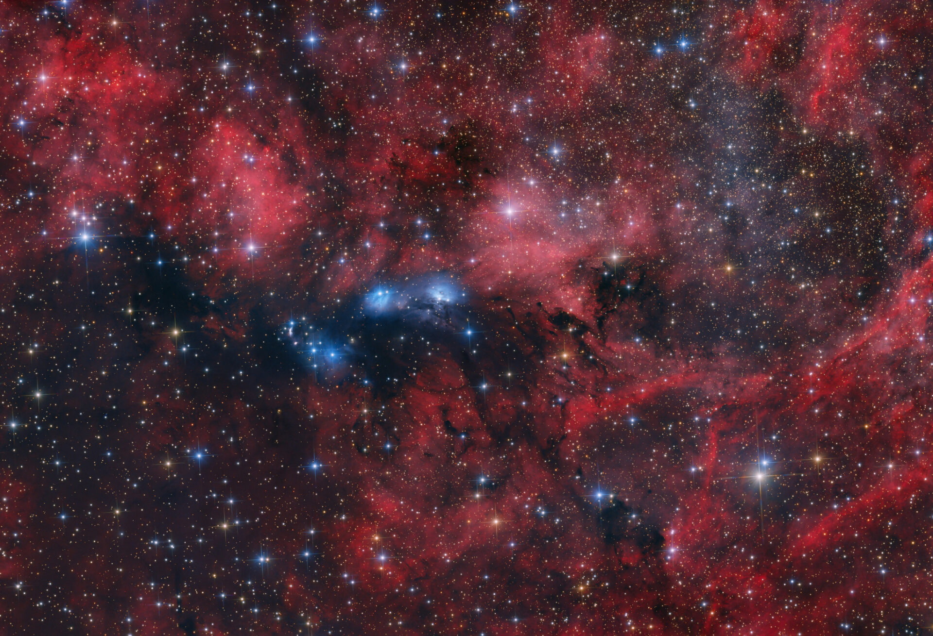 The NGC 6914 Complex