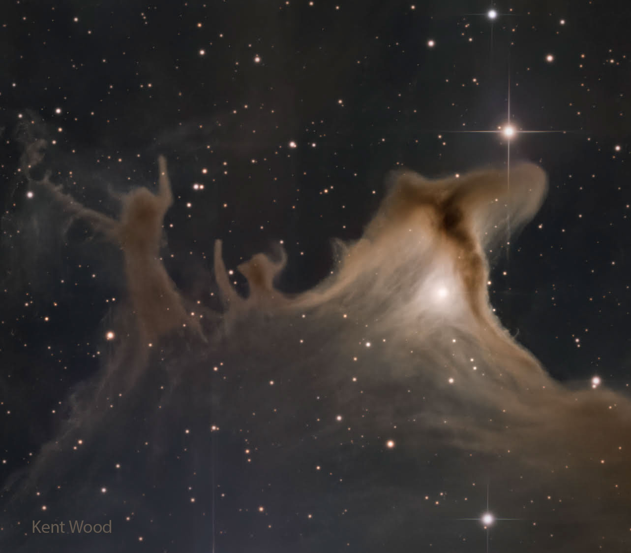 Dust Shapes of the Ghost Nebula