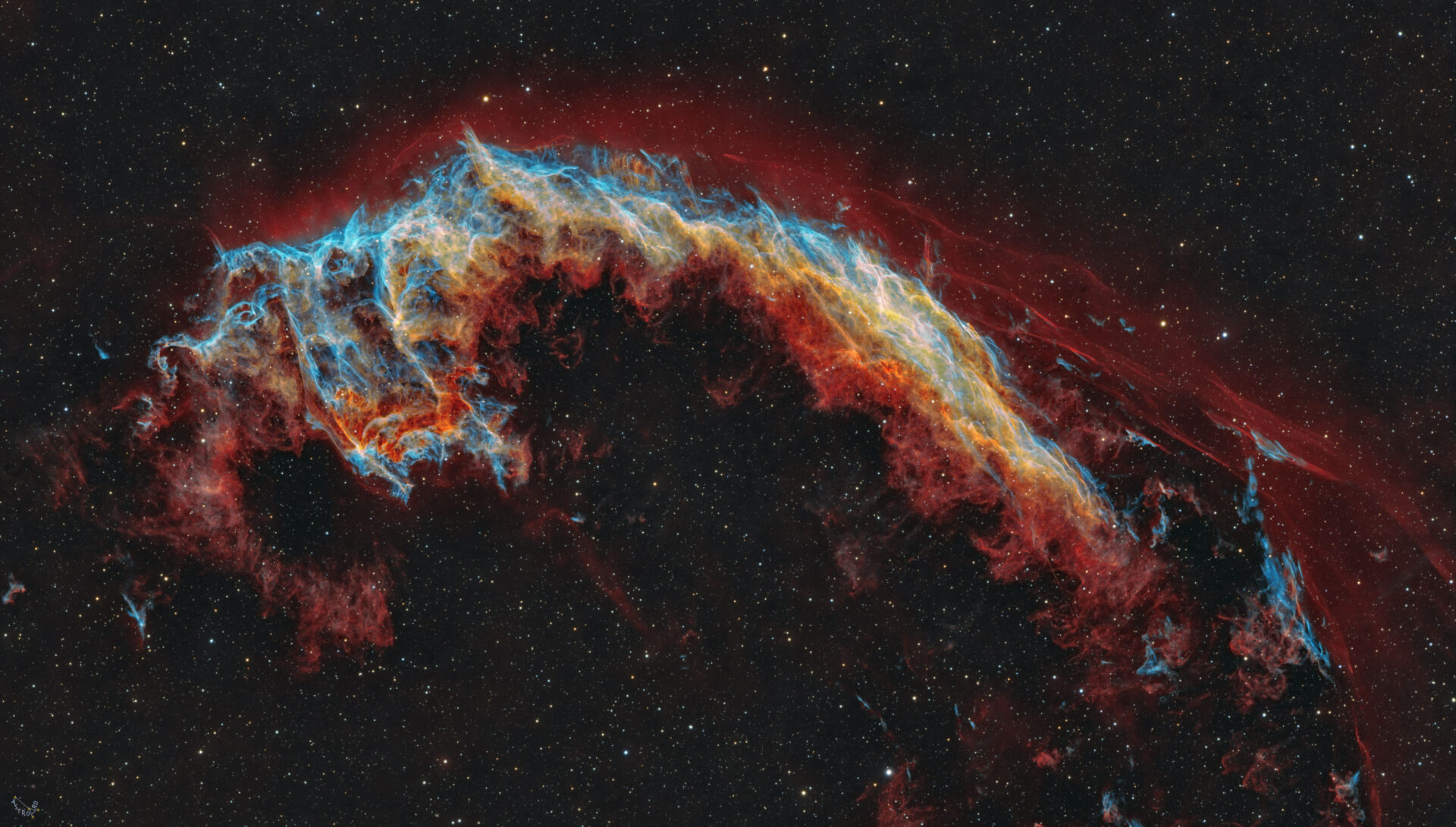 NGC 6995: The Bat Nebula