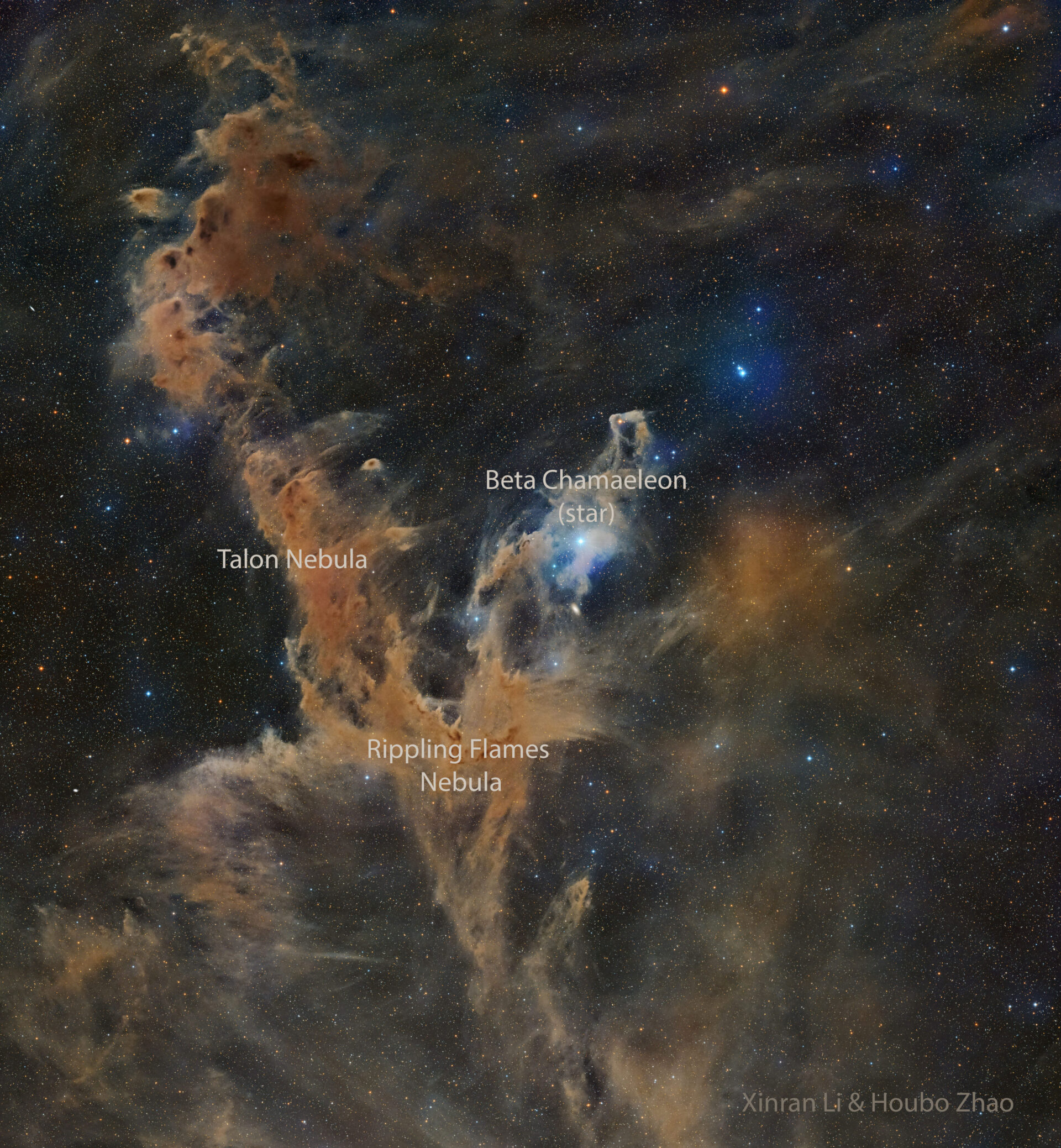 Chamaeleon Dark Nebulas
