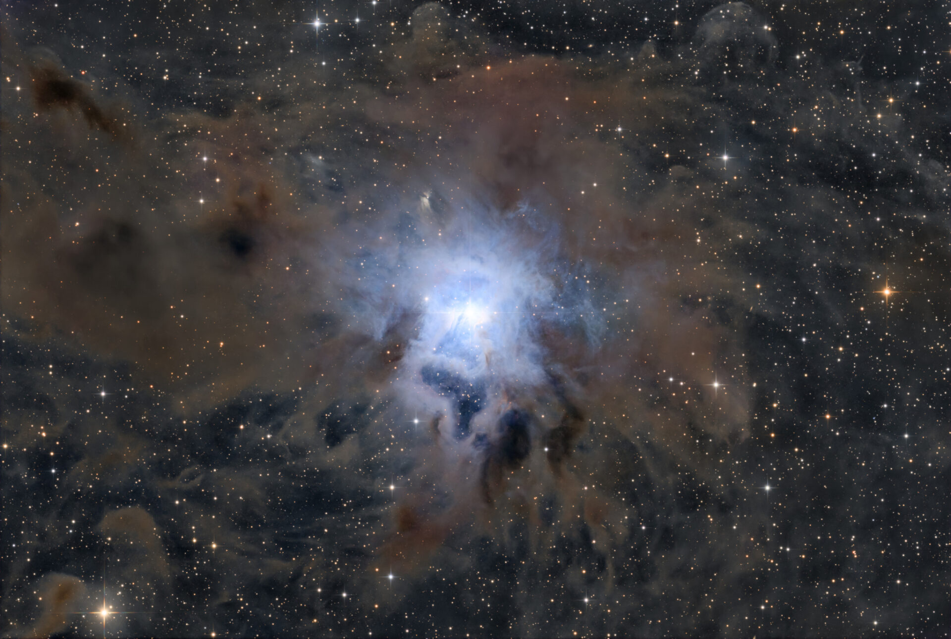 NGC 7023: The Iris Nebula