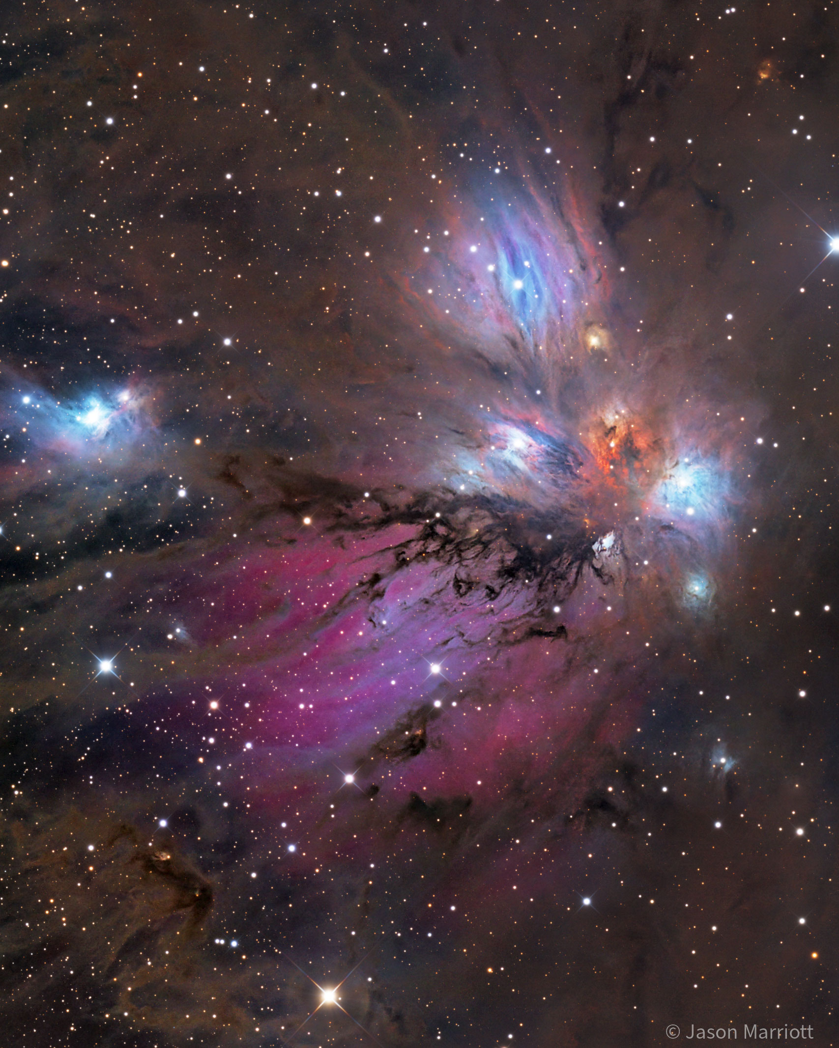 NGC 2170: The Angel Nebula