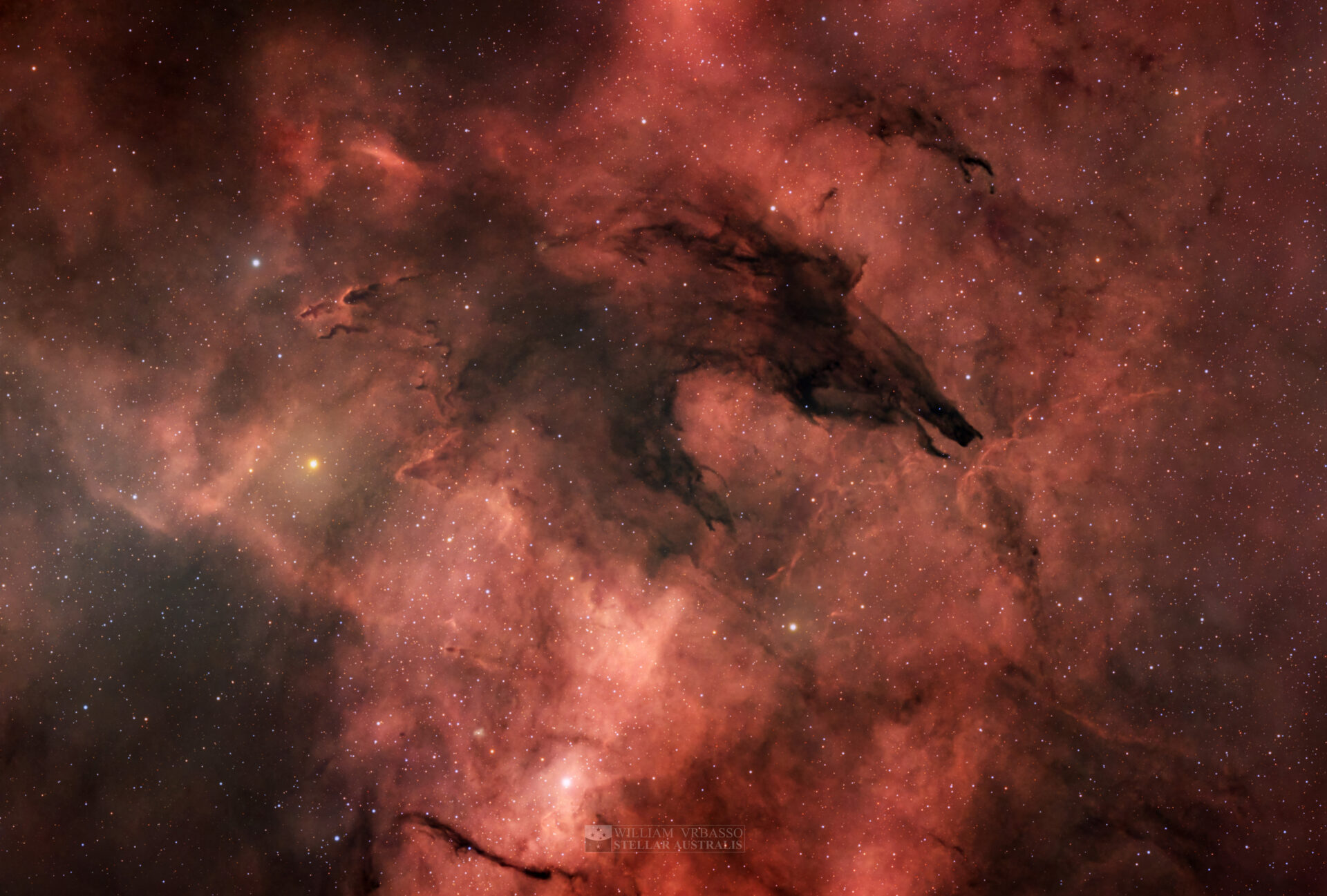 The Dark Wolf Nebula