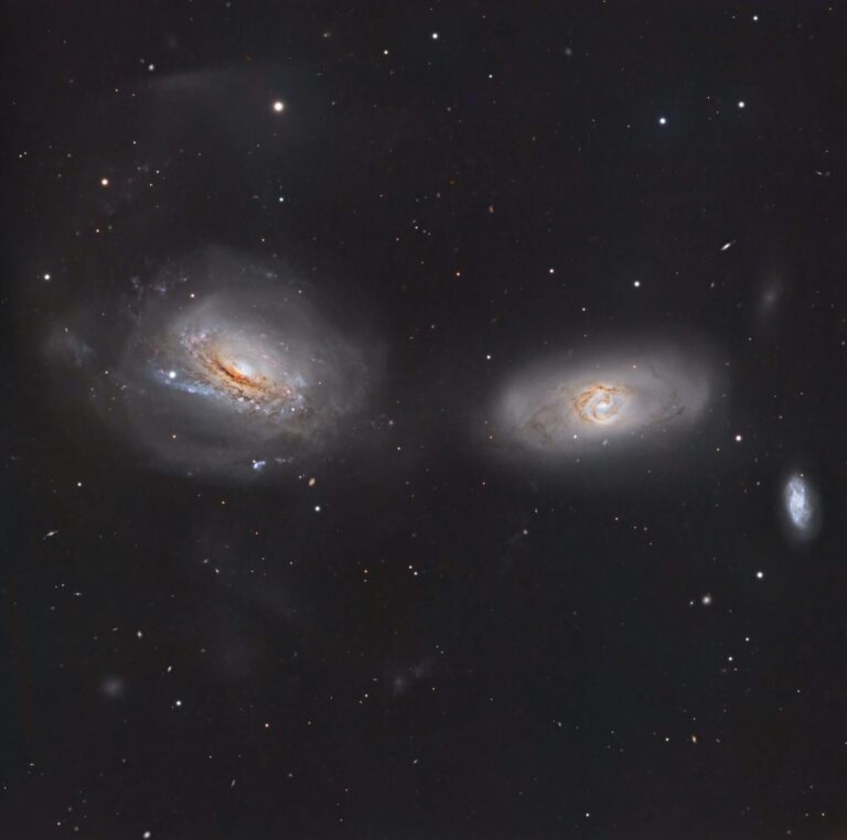 Unraveling NGC 3169