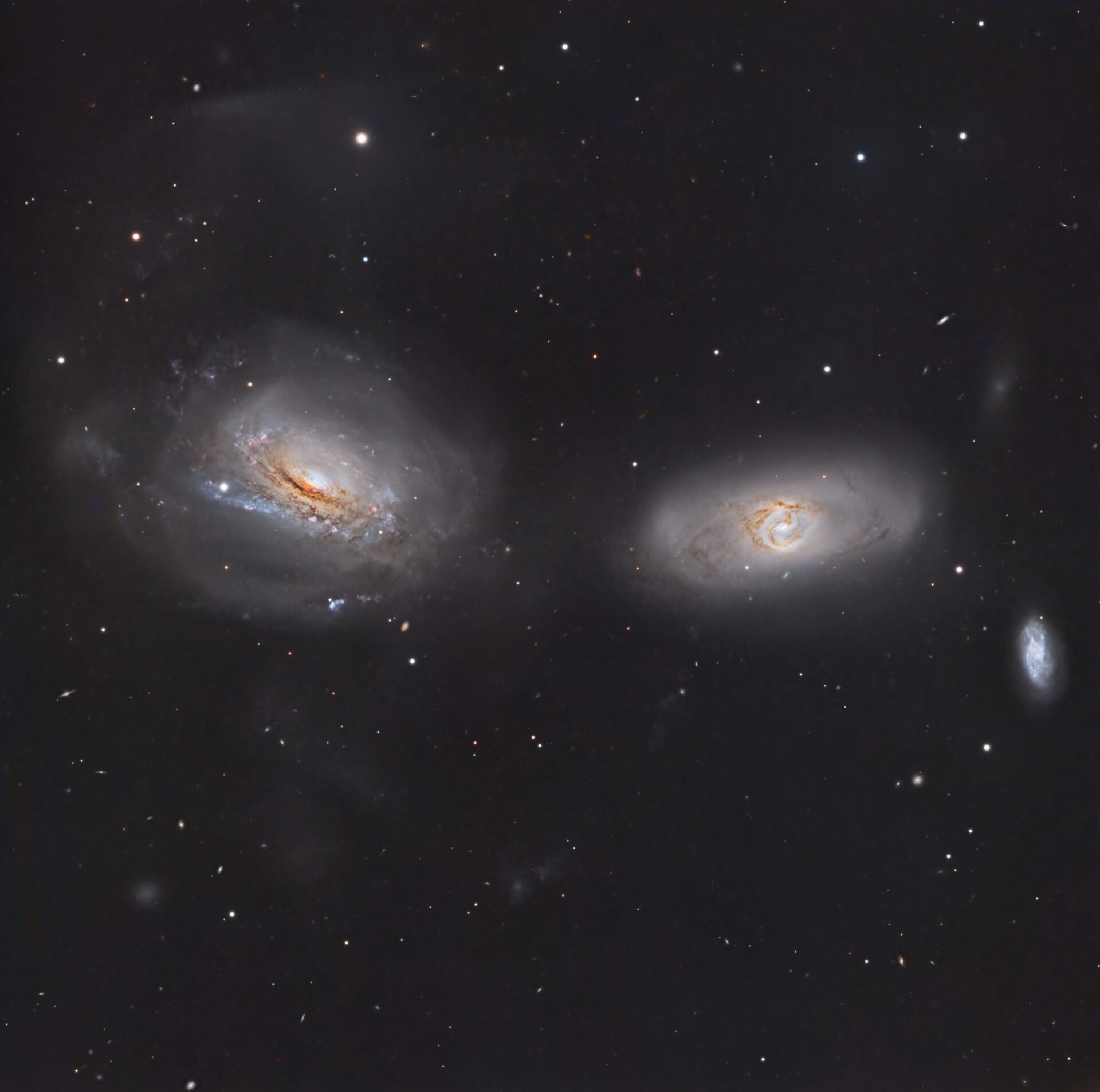 Unraveling NGC 3169