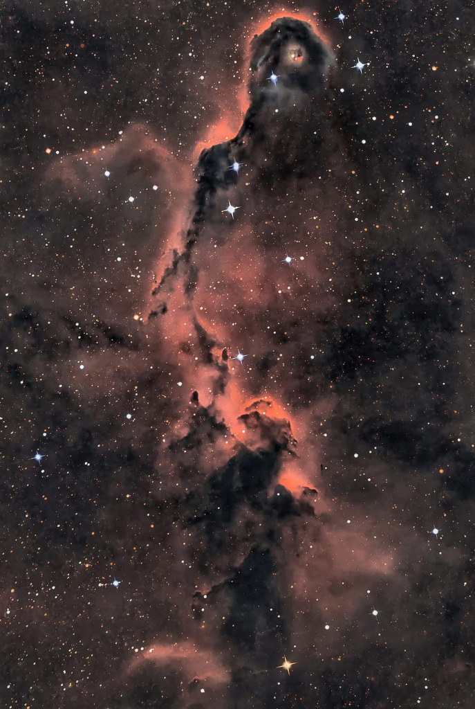 The Elephant’s Trunk in Cepheus