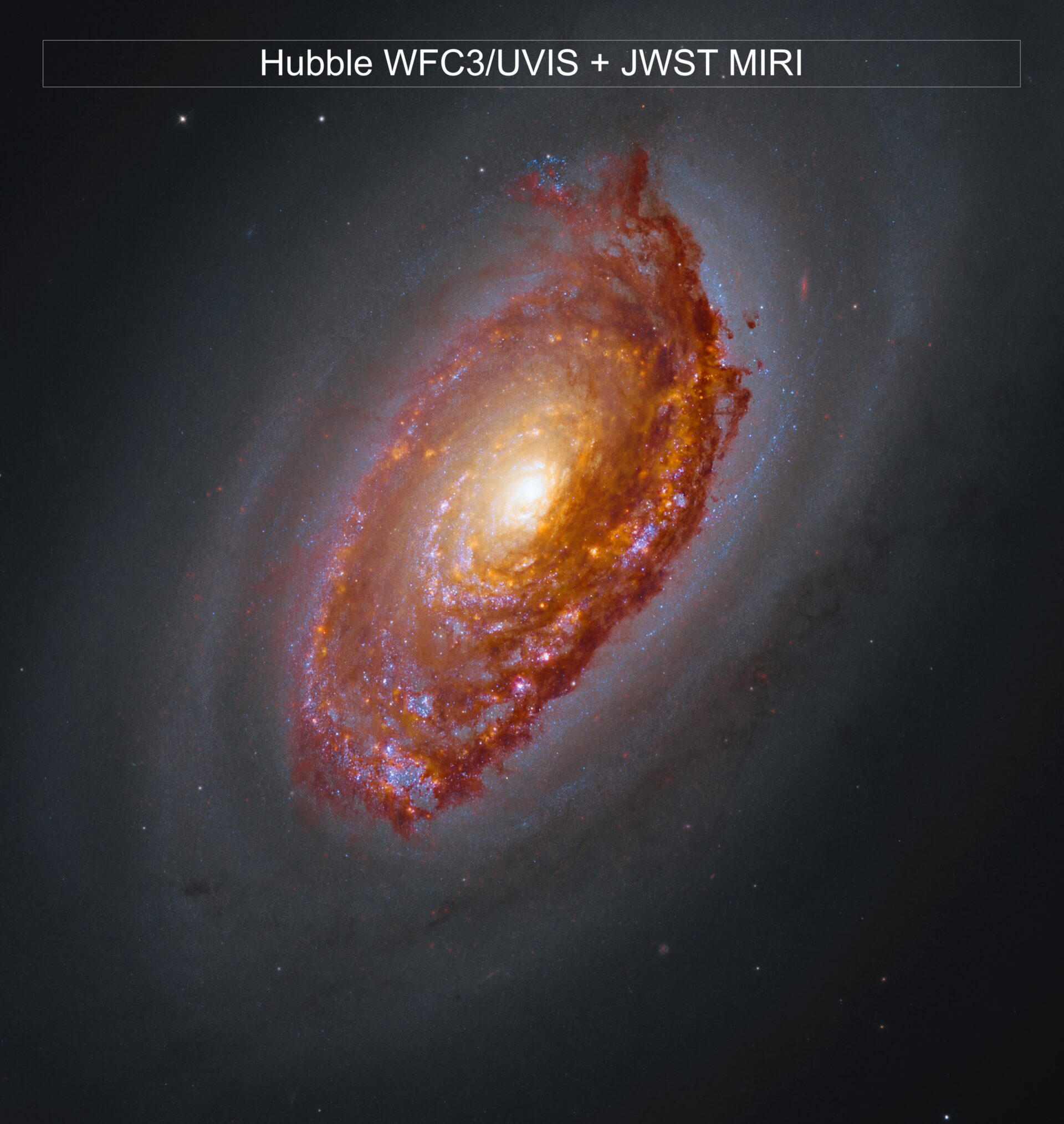 Webb’s View of M64