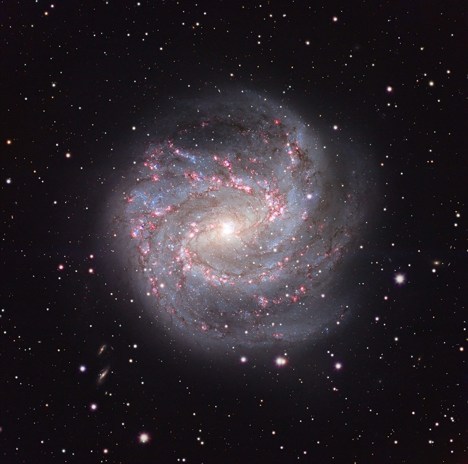 M83: The Southern Pinwheel